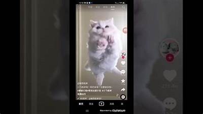 如何在iOS设备上安装抖音，让你轻松畅享短视频乐趣