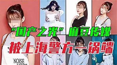 麻豆传媒精华资源视频在线观看，苹果版用户独享福利