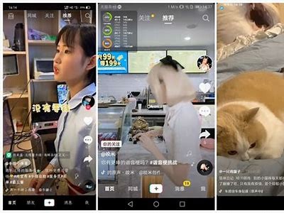 抖音免费短视频播放入口大全，轻松畅享精彩内容