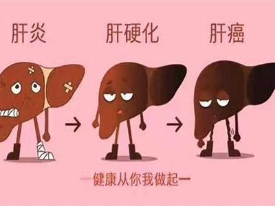 成功逆转乙肝：真实案例分享，如何做到转阴的秘诀