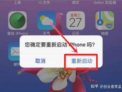 为什么在苹果App Store中无法找到抖阴实践？详细解析！