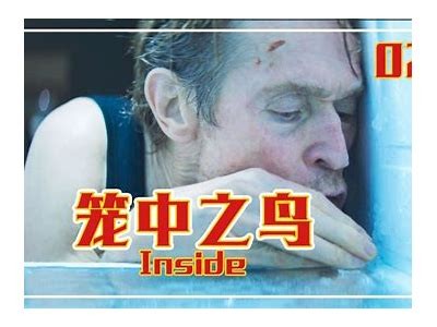 揭秘男人心理：最完整的抖阴视频检视与技巧