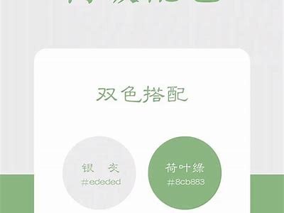 抖音最新有效网址大全：获取精彩内容与热门视频的最佳途径