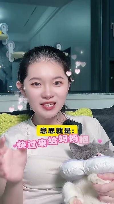 麻豆猫咪传媒：用萌宠打造全新娱乐体验