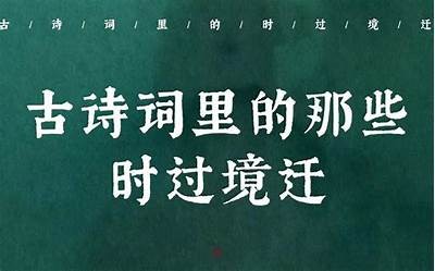 老司机的抖阴之旅：揭秘那些鲜为人知的秘密与技巧