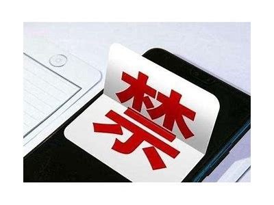 麻豆传媒十二月全新计划揭秘，精彩内容不容错过