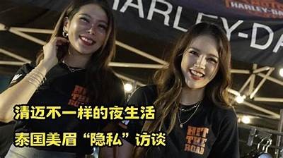 泰国麻豆文化传媒：揭秘娱乐行业的背后故事与发展方向