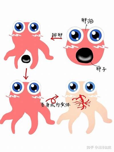 了解黄抖阴：特征、产生背景及应对方法全解析