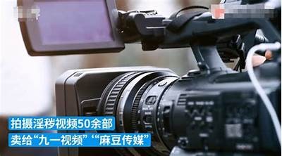 探索麻豆传媒：揭示热门影视背后的故事与创作理念