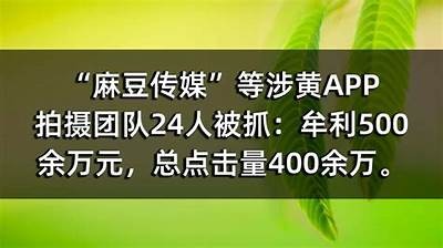 麻豆传媒APP黄版破解版免费下载，适配苹果手机，畅享在线视频观看