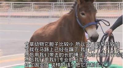 抖阴视频app下载苹果版 | 海量短视频让你嗨翻