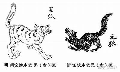 都市狐妖传说：揭秘现代妖怪与人类的奇幻爱情