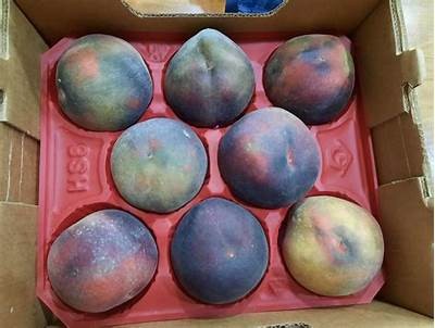 优质麻豆星空果冻蜜桃传媒，释放你的创意无限可能！