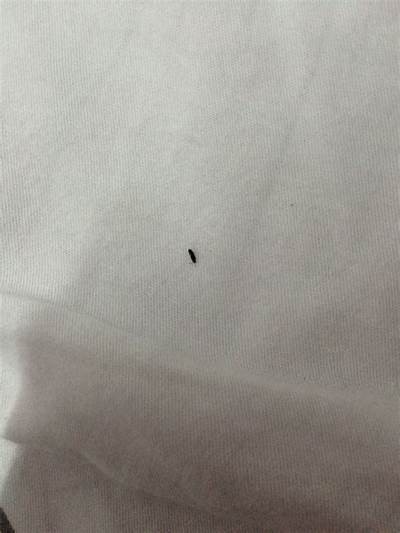揭秘小阴虫的生活习性与防治方法，保护你的健康！