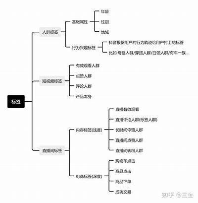 深度解析抖音阴影算法，助你加大视频曝光率与粉丝互动
