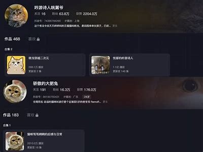 抖音热搜：猫咪在哪里找？揭秘热门猫咪探索地点