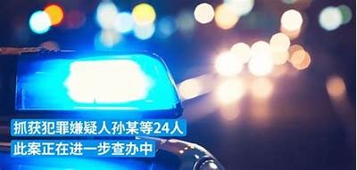 麻豆传媒电影公司最新破解方法全揭秘，轻松获取独家内容