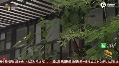 揭秘HPV转阴的真实案例：抖音视频分享成功经历