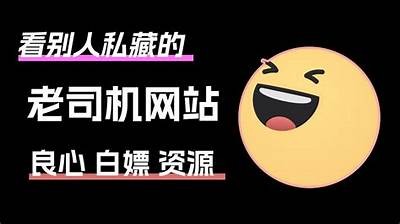 老司机教你轻松破解抖阴，快速提升使用体验的方法详解