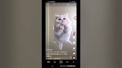 抖阴安卓APP下载教程，轻松获取最新版本与安装步骤