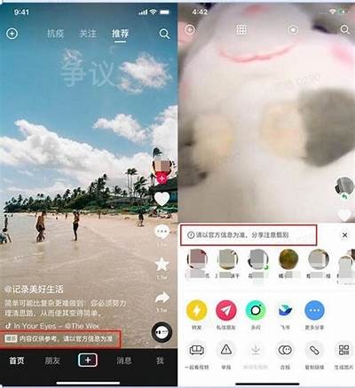 揭示危险抖阴软件的隐患与保护措施，保障个人信息安全