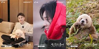 2023年最新iOS苹果手机抖音使用技巧与热门推荐