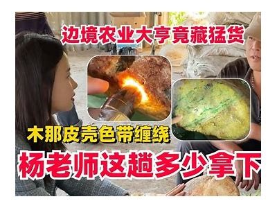抖阴皮卡农：探秘当下最火的视频创作平台与玩法