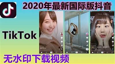 最新国际版抖音破解版免费下载，畅享无限精彩内容！