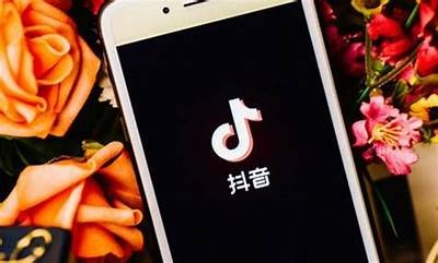 抖阴菲比抖音：谁才是真正的短视频王者?