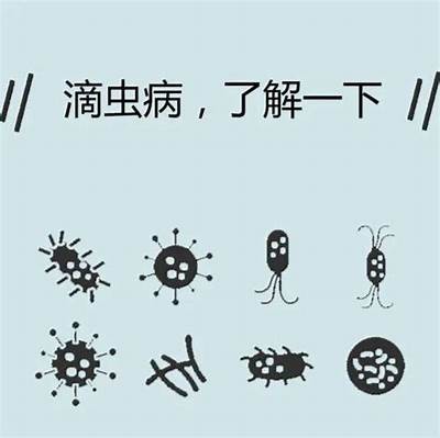 揭秘小阴虫的生活习性与防治方法，保护你的健康！