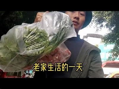 抖音生活记录：分享我的日常点滴与有趣瞬间，与你一同见证成长之旅
