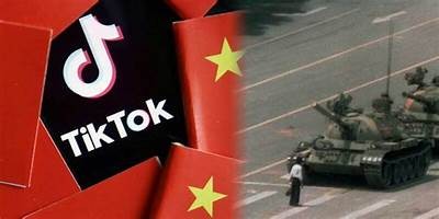阴兵四兄弟：揭秘抖音热门视频背后的精彩故事