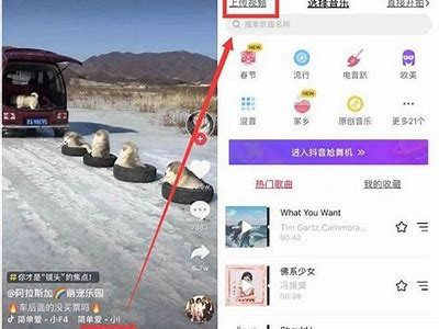 揭秘抖音无与伦比玩法：如何巧妙运用抖动阴影技巧提升视频点击率