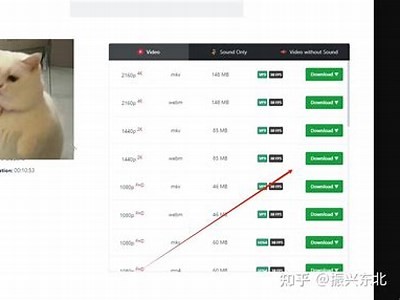 如何在苹果版抖音下载视频的详细步骤与技巧