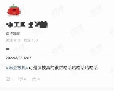 麻豆文化映画传媒：引领时尚潮流的影视新星