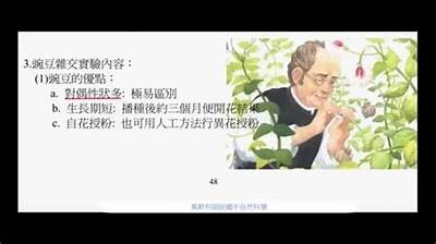抖阴此抖阴非：探讨当下社交平台的热议话题
