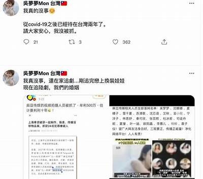 麻豆传媒电影为何未被禁？揭秘其背后动因与影响