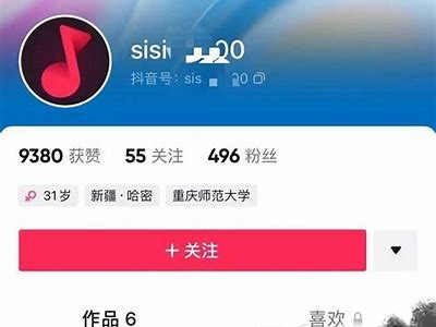 抖阴黄版使用安全吗？彻底评测与用户反馈研究