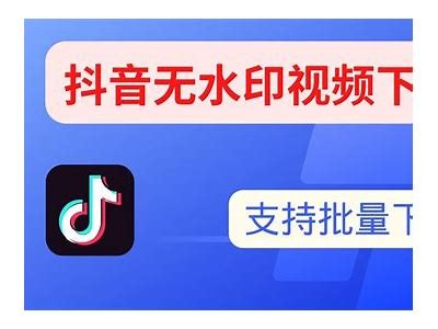 抖音VIP下载：轻松获取无限抖币的方法及攻略