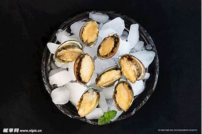 小宝贝鲍鱼抖阴：揭秘无与伦比的养殖技巧与美味食谱