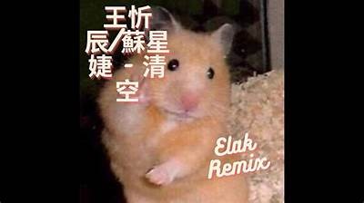 抖阴蓝奏云清秋：畅享秋季音乐盛宴，尽在这里！