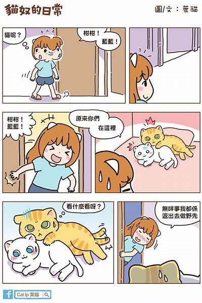 喵小姐抖阴：揭秘神秘生活与精彩瞬间的全记录