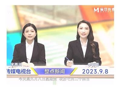 麻豆经济传媒司徒丹妮：深度解析与行业前景展望