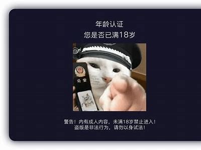 抖阴短视频经验分享：如何快速提升播放量与关注度