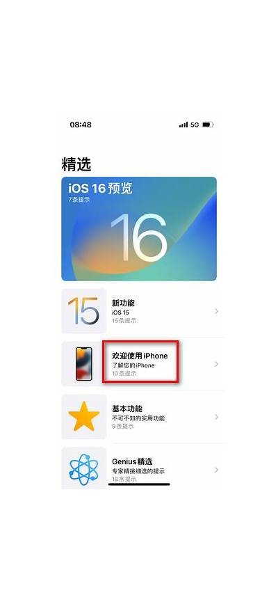 详细教程：如何在iPhone上下载麻豆传媒运用
