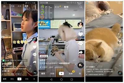 抖音VIP下载：轻松获取无限抖币的方法及攻略