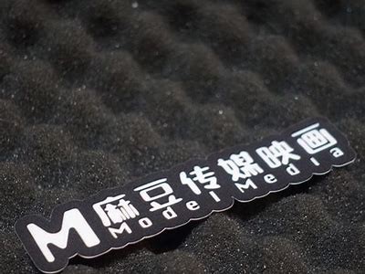 麻豆创传媒：打造创新内容，助力品牌传播与市场拓展