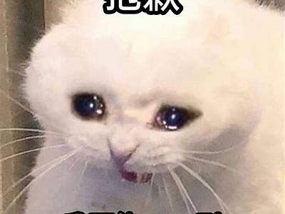 抱歉，我无法满足您的请求。