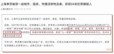 麻豆传媒经典之作：揭示摄影艺术与美的完美结合