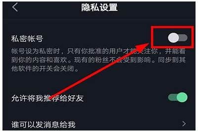 苹果手机用户如何安全下载抖阴运用方法解析